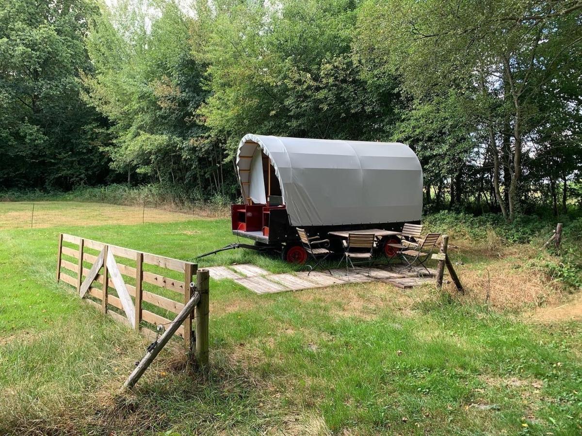 Huifkar In Landelijke Omgeving De Mersken 9 Ureterp Esterno foto